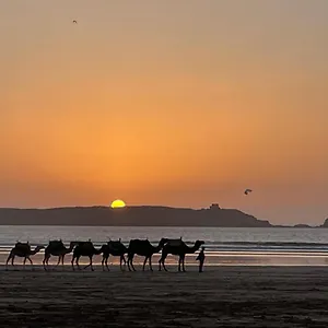 https://la-symbiose-essaouira.essaouirahotels.net