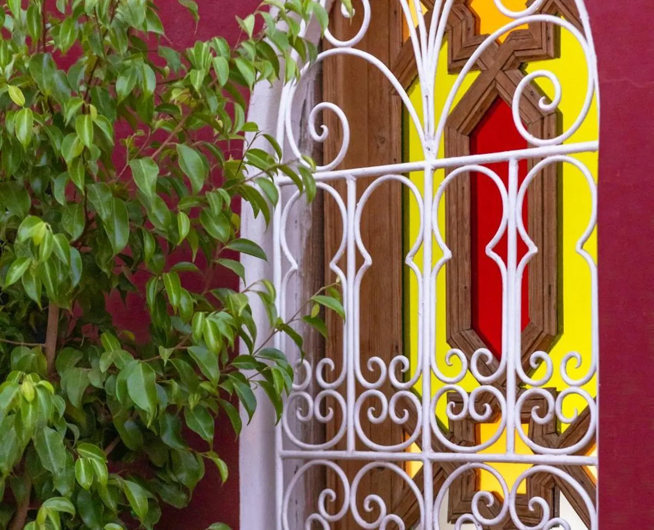 Riad Petite Rose Marakéš Maroko