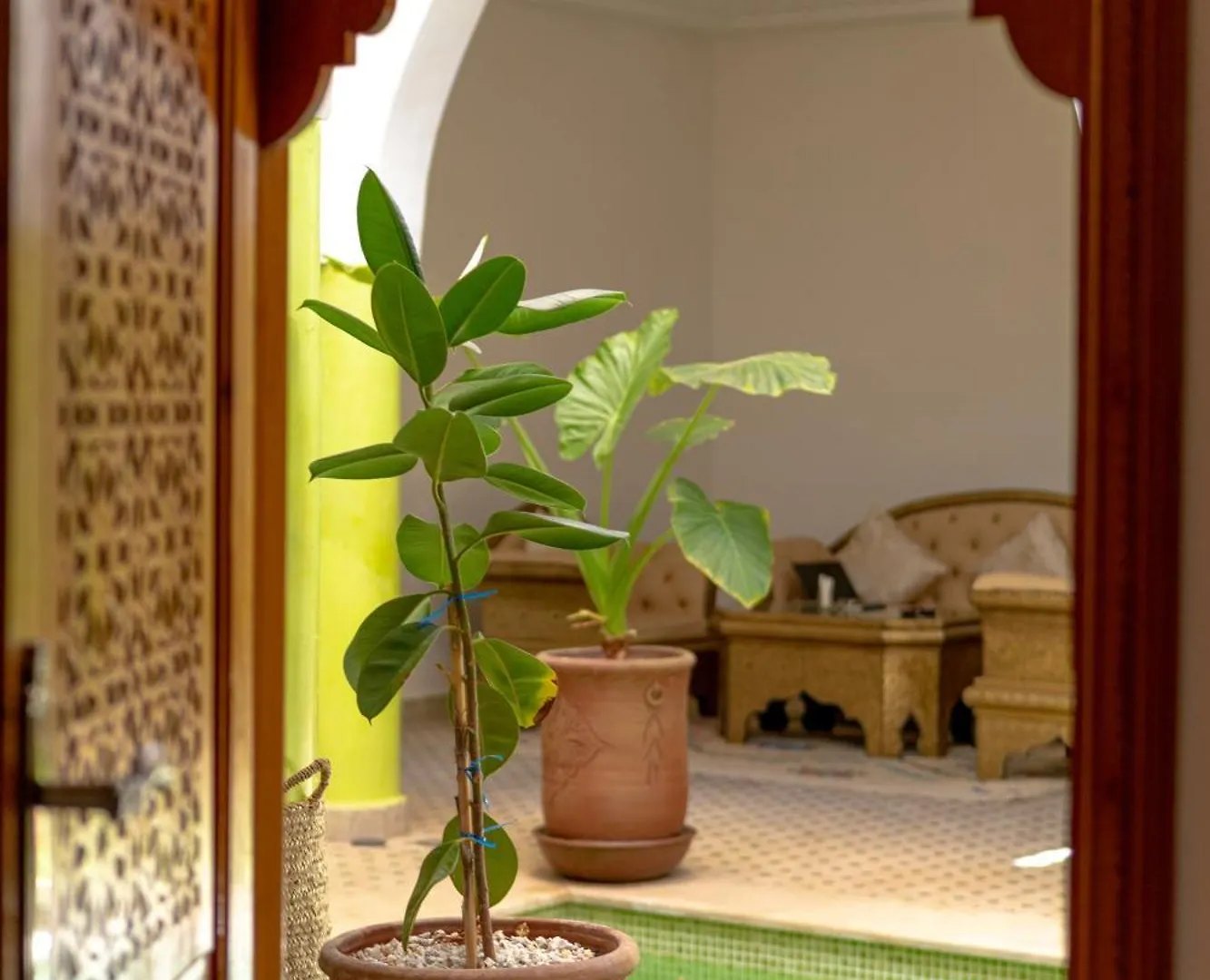 Riad Petite Rose Marakéš